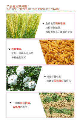 氯基水稻配方45%(12-18-15)|氯基復(fù)合肥|紅四方復(fù)合肥,品牌復(fù)合肥,復(fù)合肥生產(chǎn)廠家