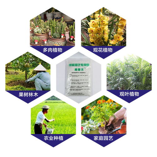 三元復(fù)合肥植物盆栽通用型養(yǎng)花家用有機花肥料氮磷鉀花卉緩釋化肥