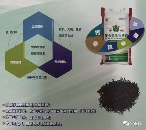 作物根系問題 想要有高產(chǎn)高效 想要解決土壤問題 用申根微生物復合肥