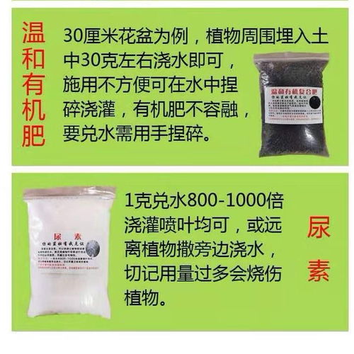 花肥料通用 速效多元素復(fù)合肥 盆栽有機(jī)肥料養(yǎng)花種菜化肥種花葉面