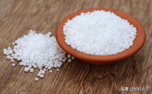 20220104尿素 鉀肥 復(fù)合肥市場(chǎng)行情