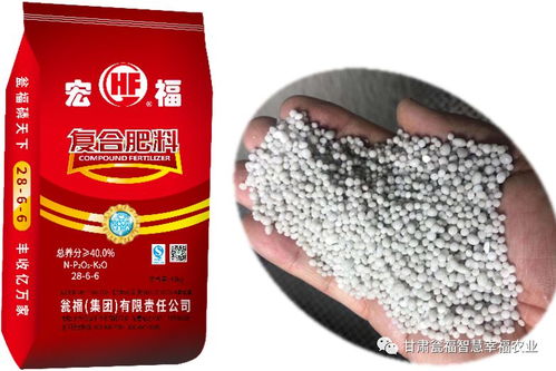 意外走紅 如實說