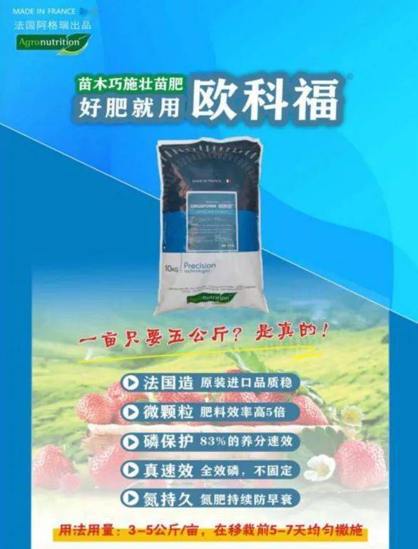 草莓想要好,歐科福錯不了