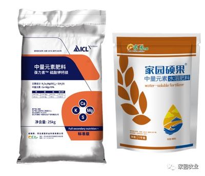 葡萄落花后如何管理?