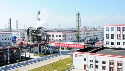 金正大生態(tài)工程集團 引領(lǐng)復合肥行業(yè)創(chuàng)新發(fā)展